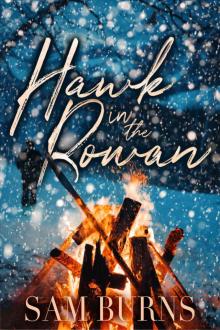 Hawk in the Rowan (The Rowan Harbor Cycle Book 4)