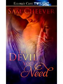 The Devil You Need
