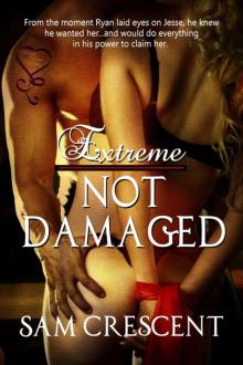 Not Damaged Not Damaged