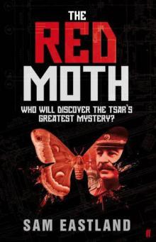 Red Moth ip-4