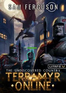 Terramyr Online: The Undiscovered Country: A LitRPG Adventure