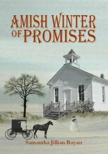 Amish Winter of Promises: Book Four