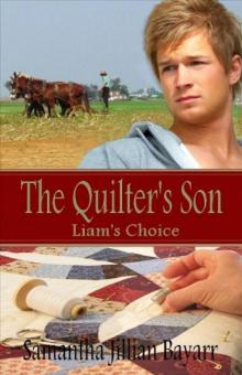 The Quilter's Son: Book One: Liam's Choice The Quilter's Son: Book One: Liam's Choice