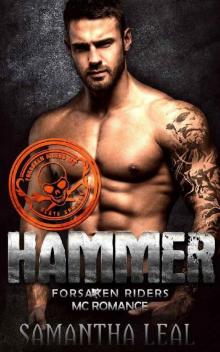 HAMMER (Forsaken Riders MC Romance Book 16)