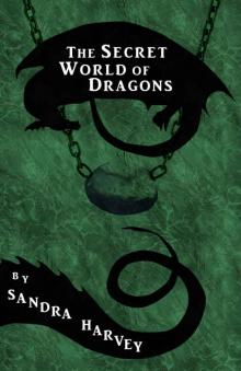 The Secret World of Dragons