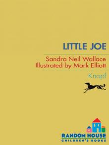 Little Joe Little Joe