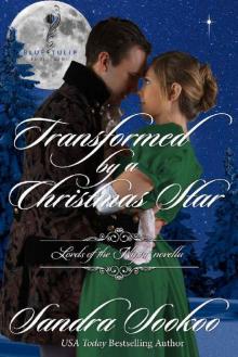 Transformed By A Christmas Star: A Lords of the Night novella