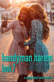 Handyman Harem Book 7: A MFFF harem series