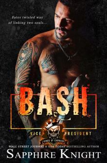 Bash Bash