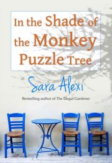 In the Shade of the Monkey Puzzle Tree In the Shade of the Monkey Puzzle Tree