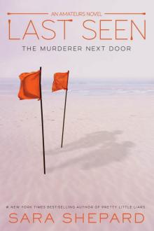 The Amateurs, Book 3 The Amateurs, Book 3