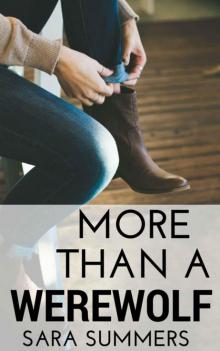More than a Werewolf (Shifty Series Book 1) More than a Werewolf (Shifty Series Book 1)