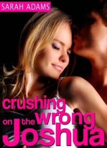 Crushing On The Wrong Joshua (Crushing on You)