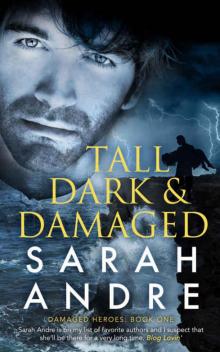 Tall, Dark and Damaged (Damaged Heroes #1) Tall, Dark and Damaged (Damaged Heroes #1)
