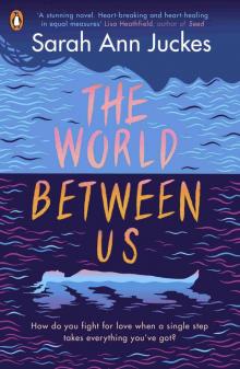 The World Between Us The World Between Us