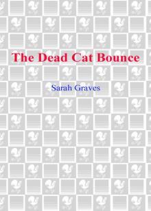 The Dead Cat Bounce The Dead Cat Bounce
