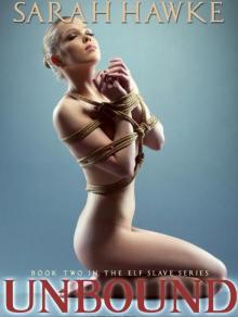 Unbound (Elf Slave #2)