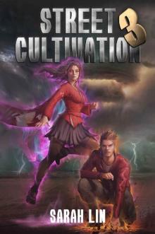 Street Cultivation 3 Street Cultivation 3