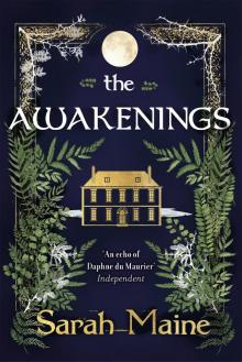 The Awakenings The Awakenings
