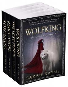 Wolfking The Omnibus: Books 1-4