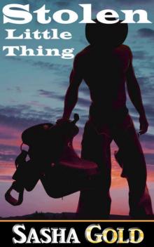 Stolen Little Thing (Little Thing Series Book 1) Stolen Little Thing (Little Thing Series Book 1)