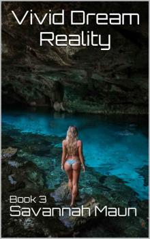 Vivid Dream Reality 3 Vivid Dream Reality 3