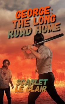 George (Book 1): The Long Road Home