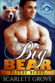 Big Bear (Bear Shifter Paranormal Romance) (Rescue Bears Book 3) Big Bear (Bear Shifter Paranormal Romance) (Rescue Bears Book 3)