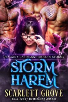 Storm Harem Storm Harem
