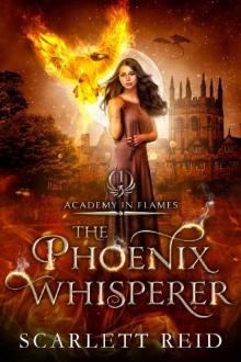 The Phoenix Whisperer The Phoenix Whisperer