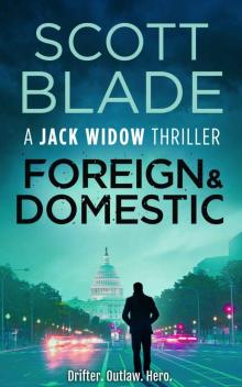 Foreign and Domestic (Jack Widow Book 13)