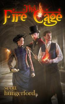 The Fire Cage The Fire Cage