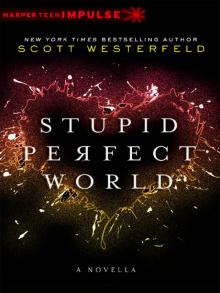Stupid Perfect World Stupid Perfect World