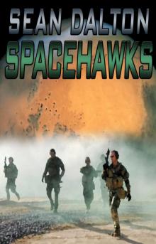 Spacehawks
