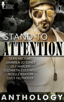 Stand to Attention Stand to Attention