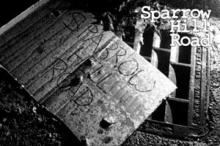 Sparrow Hill Road 2010 By Seanan