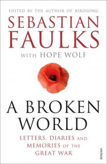 A Broken World A Broken World