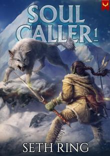 Soul Caller: A LitRPG Adventure