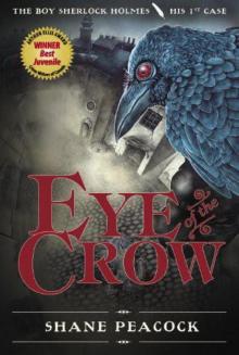 Eye of the Crow tbsh-1