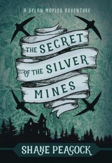 The Secret of the Silver Mines The Secret of the Silver Mines