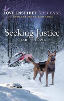 Seeking Justice Seeking Justice