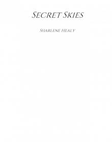 Secret Skies