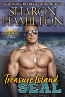 Treasure Island SEAL: Pirate SEAL Rescues his Mermaid (Sunset SEALs Book 3) Treasure Island SEAL: Pirate SEAL Rescues his Mermaid (Sunset SEALs Book 3)