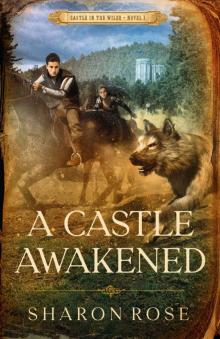 A Castle Awakened: Castle in the Wilde - Novel 1 A Castle Awakened: Castle in the Wilde - Novel 1