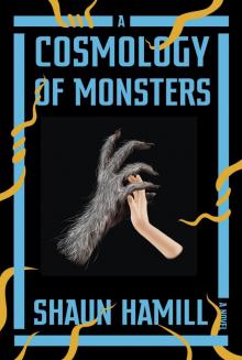 A Cosmology of Monsters