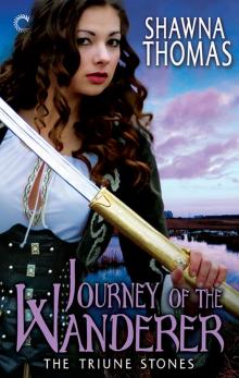 Journey of the Wanderer Journey of the Wanderer