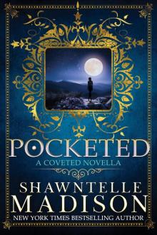 Pocketed Pocketed