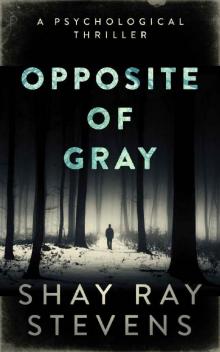 Opposite of Gray Opposite of Gray