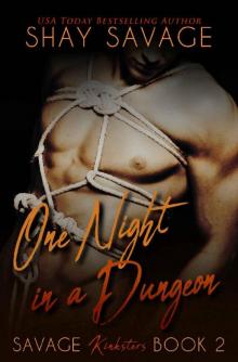 One Night in a Dungeon: Savage Kinksters Book 2