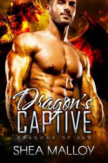 Dragon's Captive: Dragons of Rur